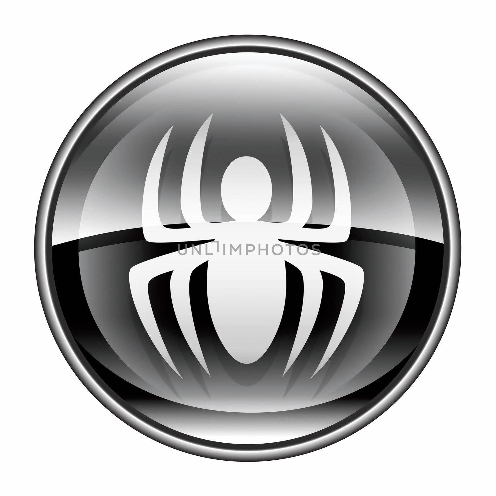 Virus icon black, isolated on white background.