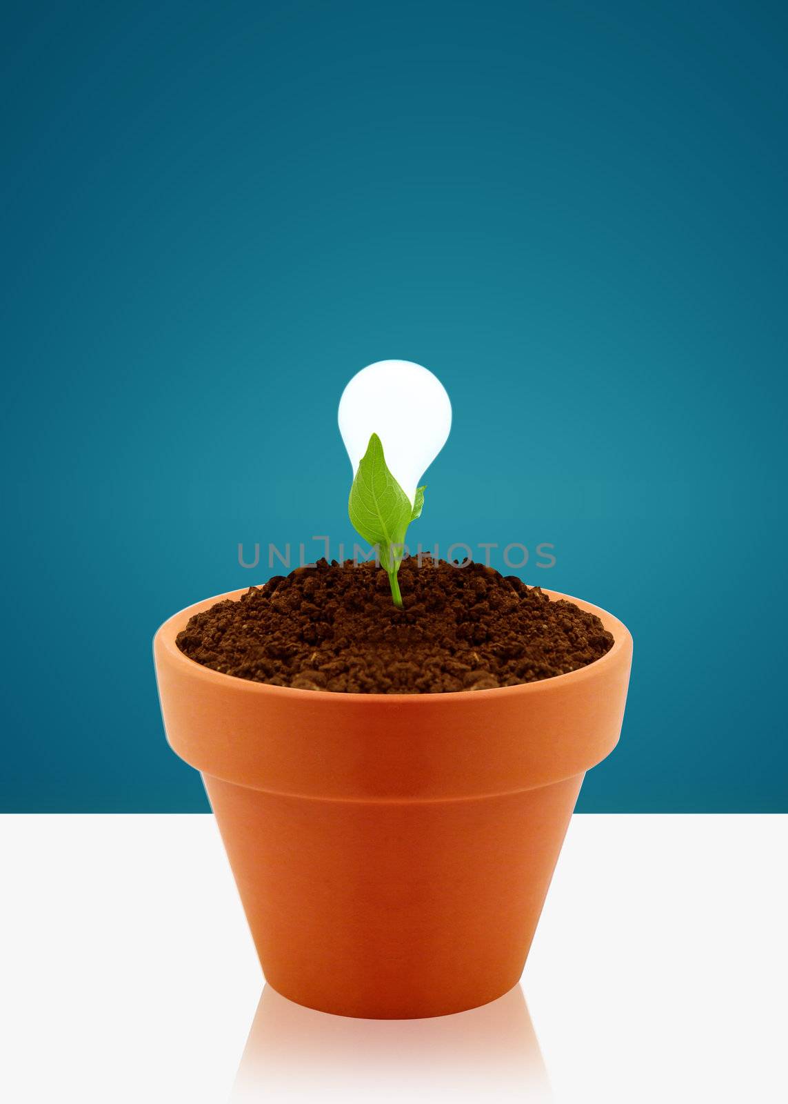 modern energy-saving concept, bright bulb in garden pot with small plant.