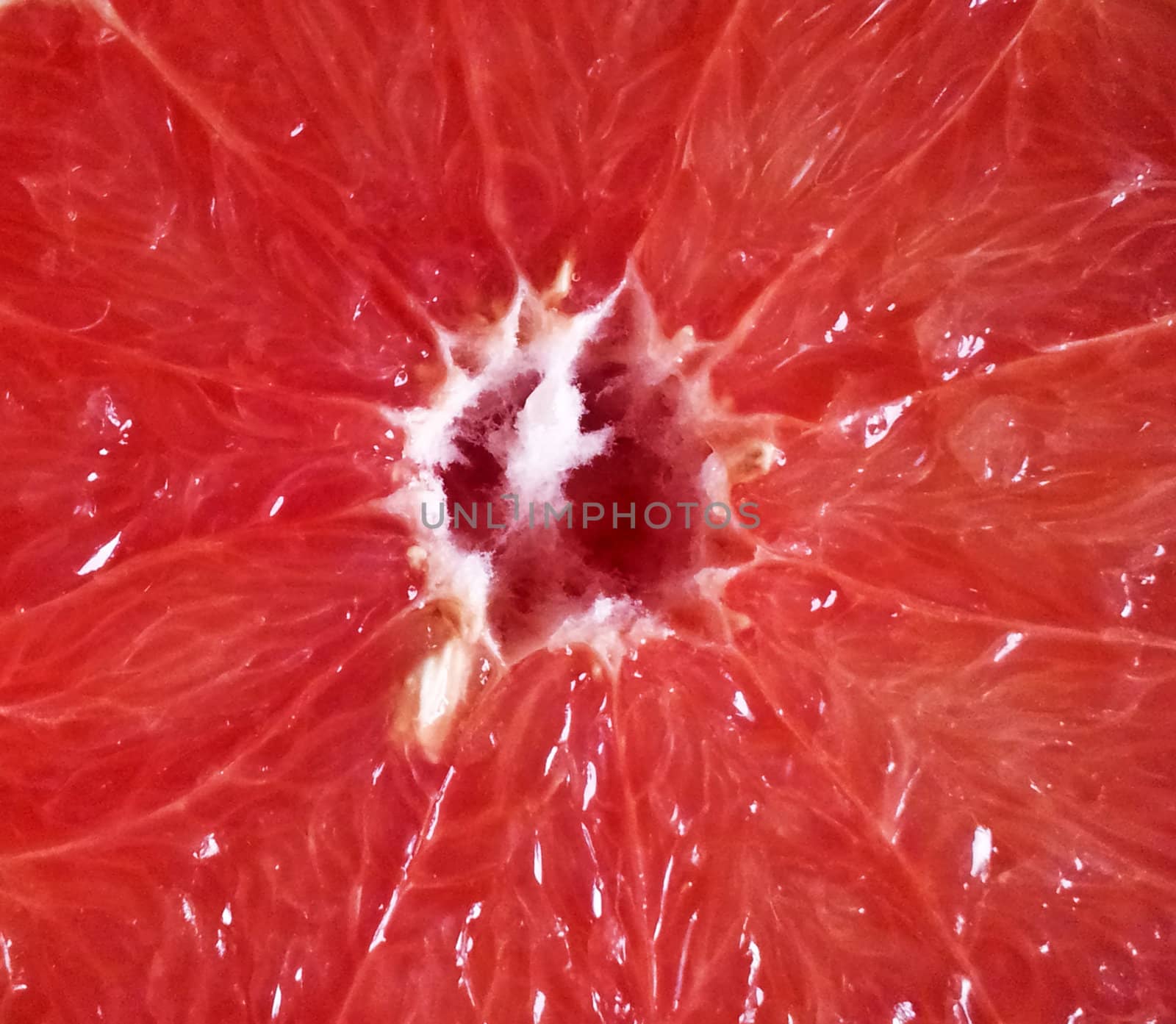 Grapefruit close-up by MalyDesigner