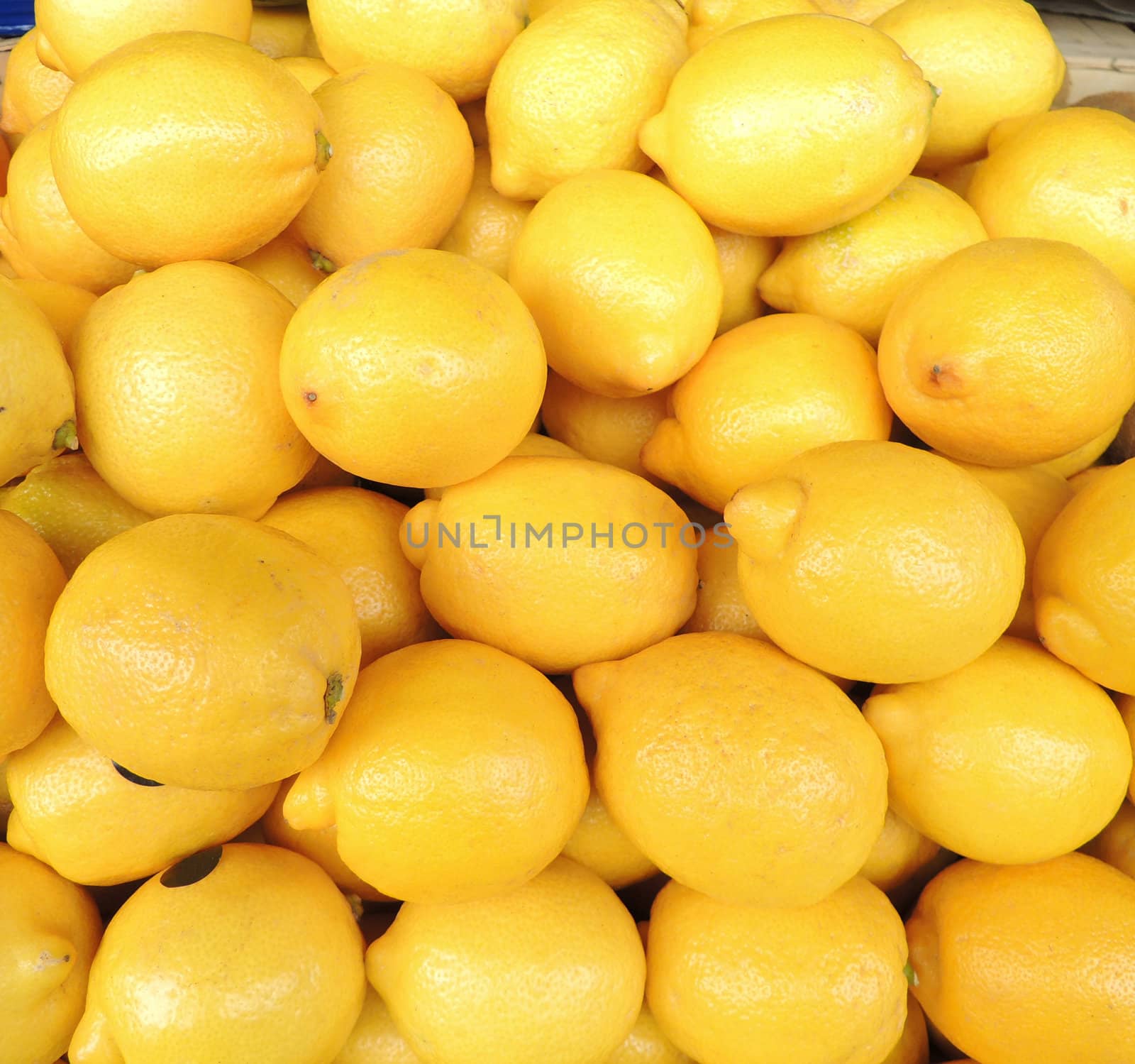 lemon background by MalyDesigner