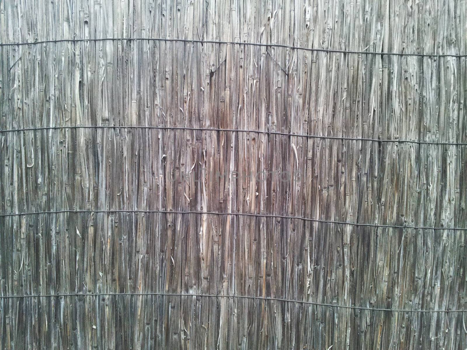 Old reed wall texture