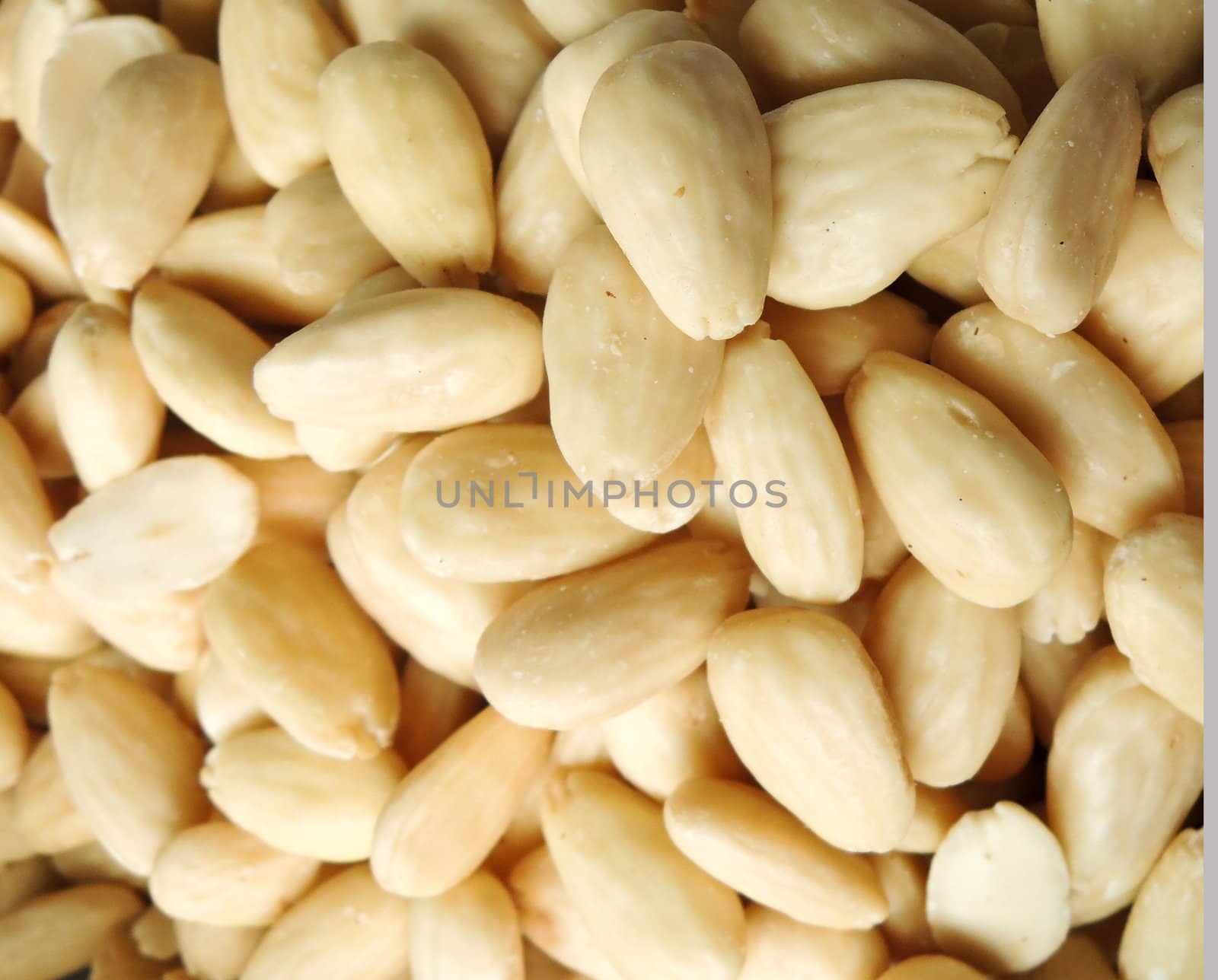 pine nuts background

