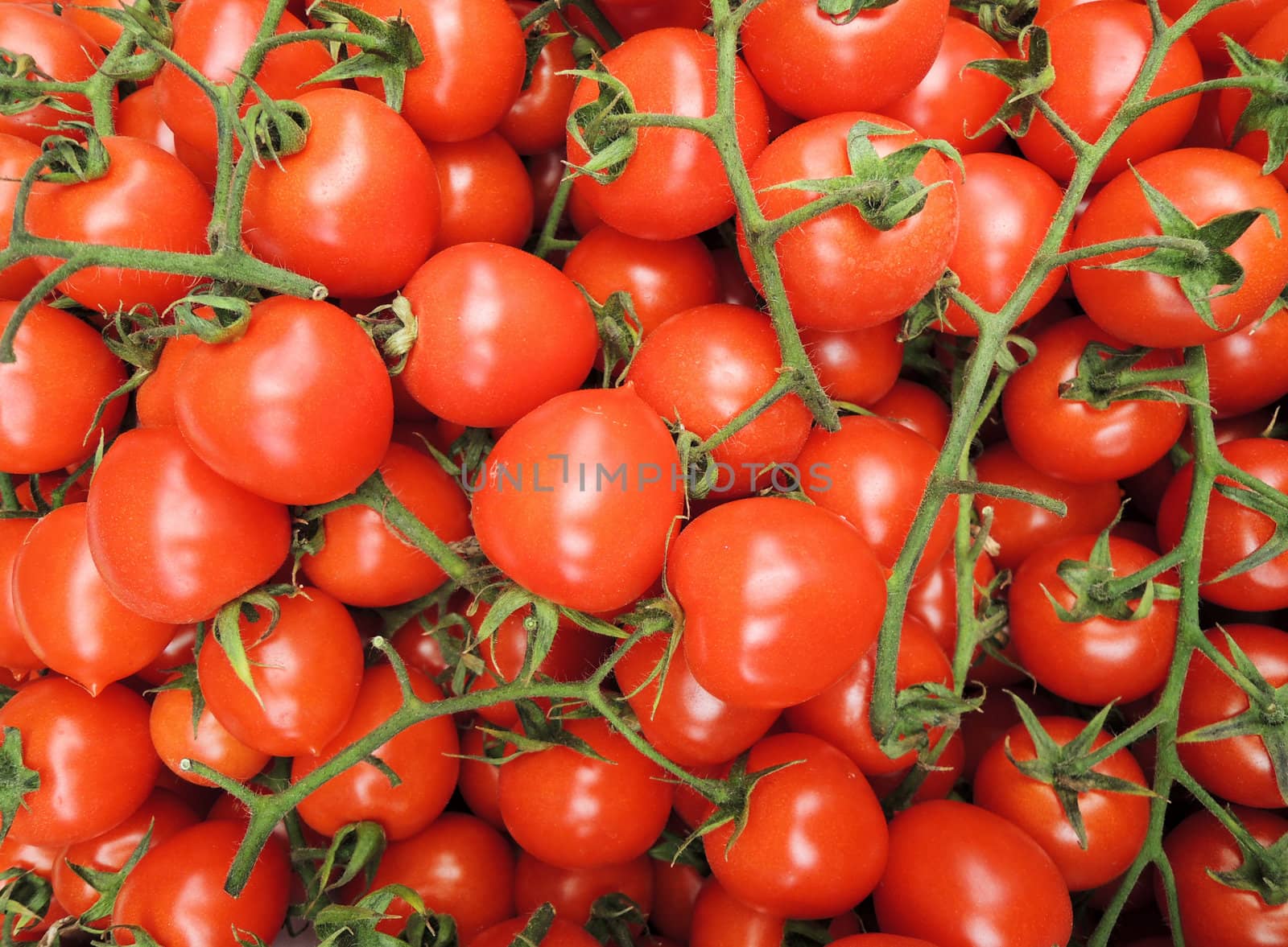 tomato background by MalyDesigner