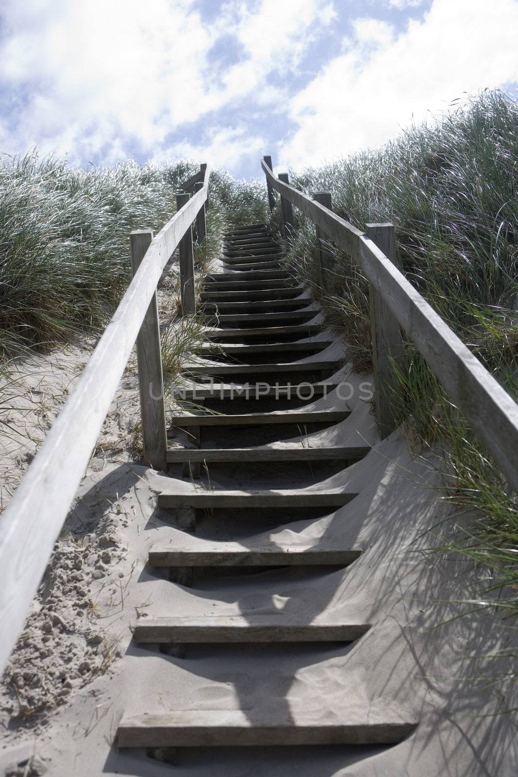 Wood Staircase close to the beach