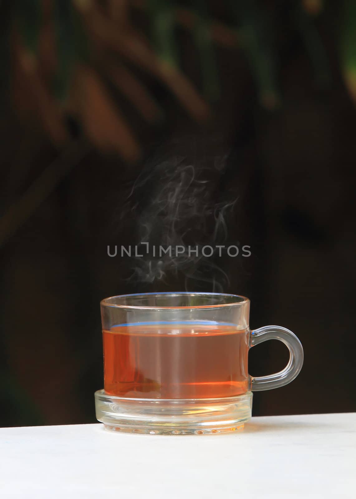 A glass bowl with hot Chinese tea by rufous