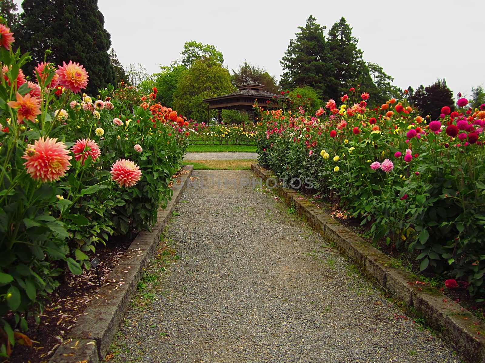 A photograph of a flower garden located at a public park.