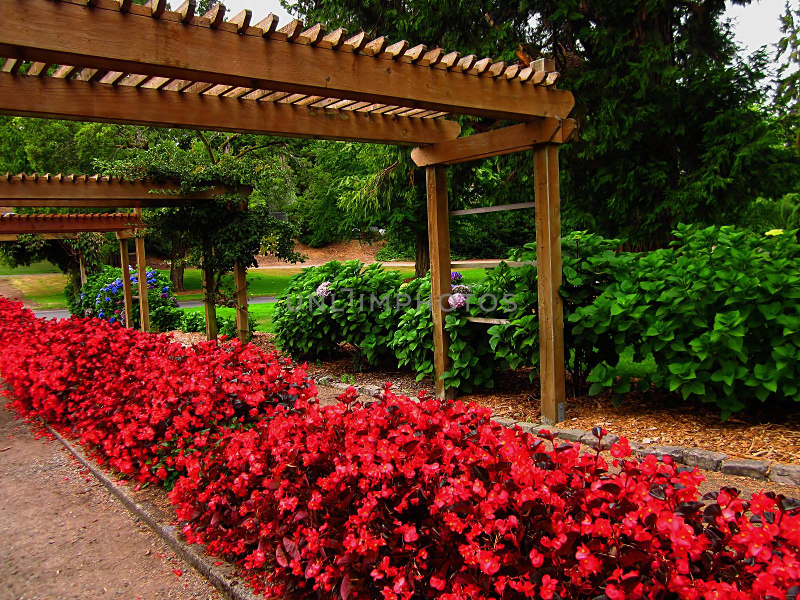 A photograph of a flower garden located at a public park.