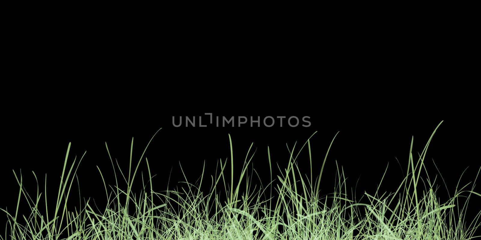 Green grass meadow over black background