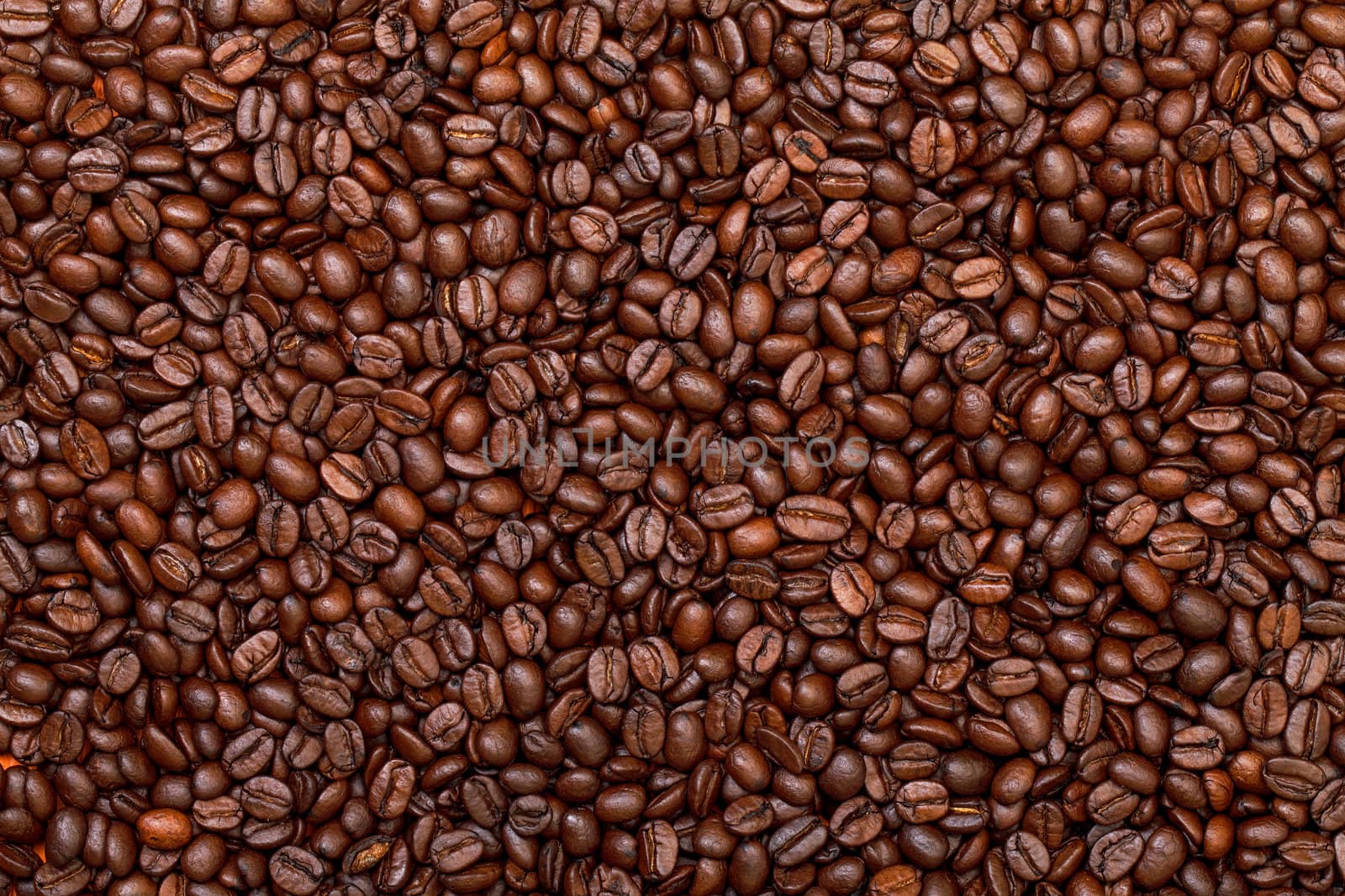 Background of Fresh Roasted Coffee Beans, texture