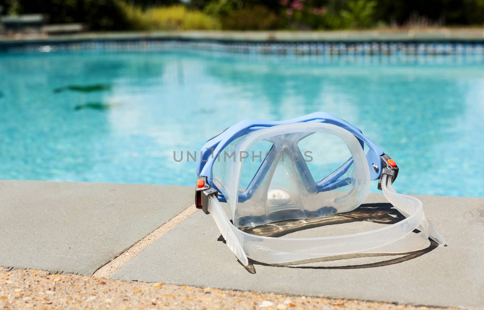 Silicone swimming mask sitting on edge of blue swimming pool in summer