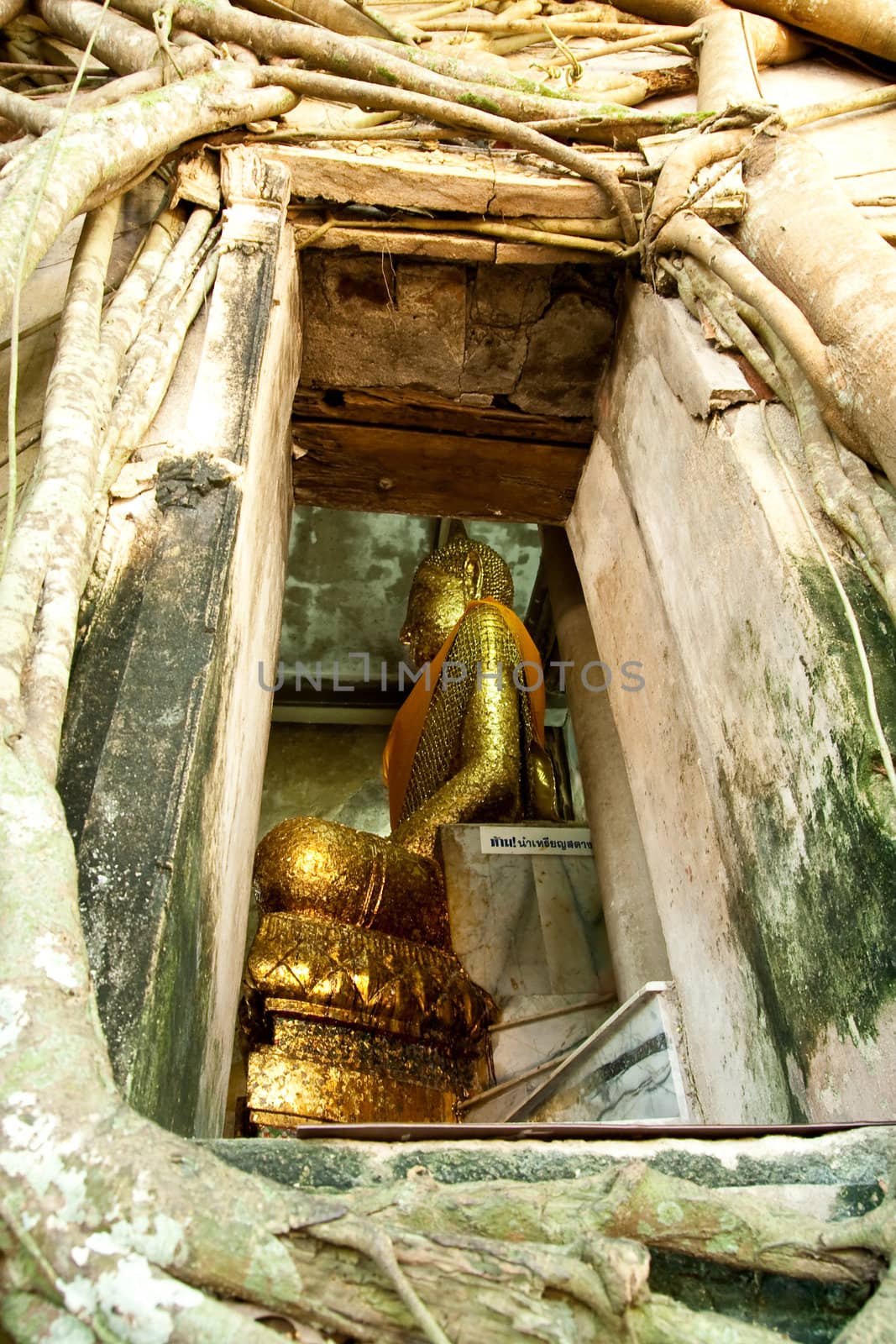 Buddha in the temple, Thailand
