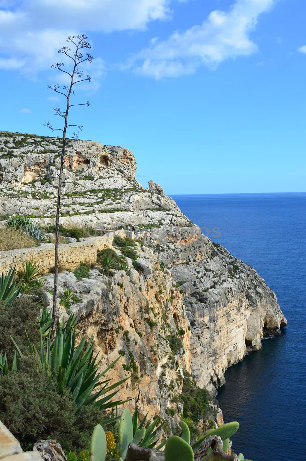 Cliffs in Malta