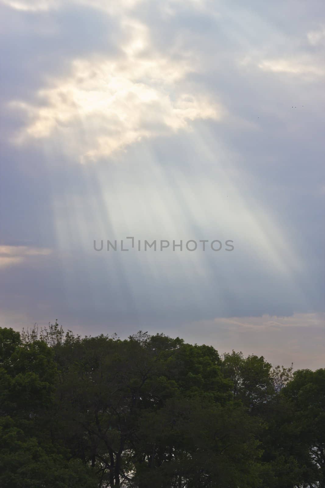 Beams of the sun make the way through clouds