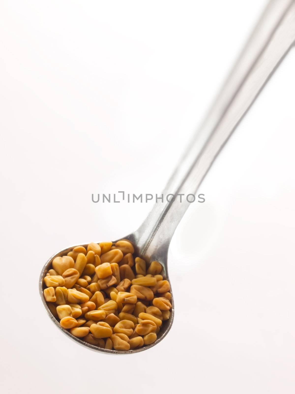 close up of a spoonful of fenugreek seeds