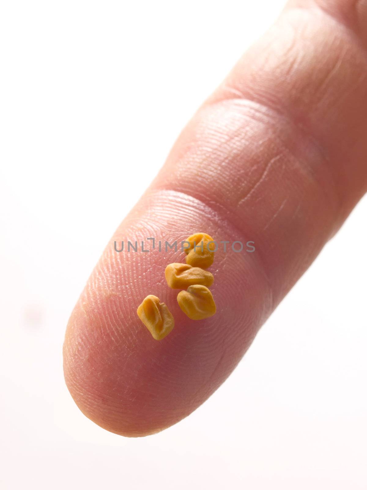 close up of a pinch of fenugreek seeds
