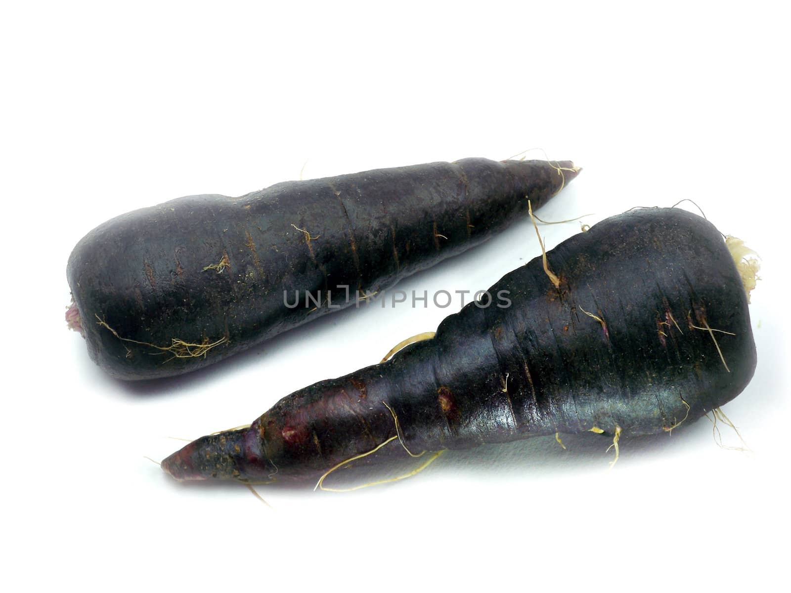 fresh black carrots isolated on white background