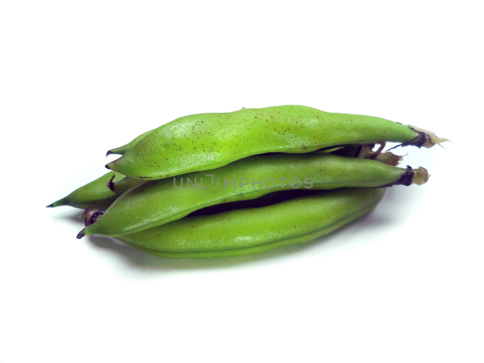 bunch of broad beans on a white background