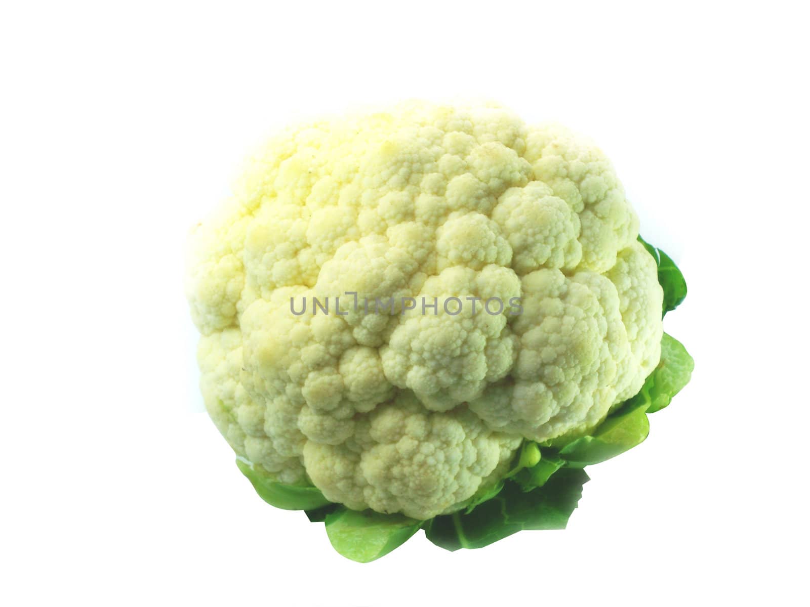 Whole Cauliflower with leaves isolated on white