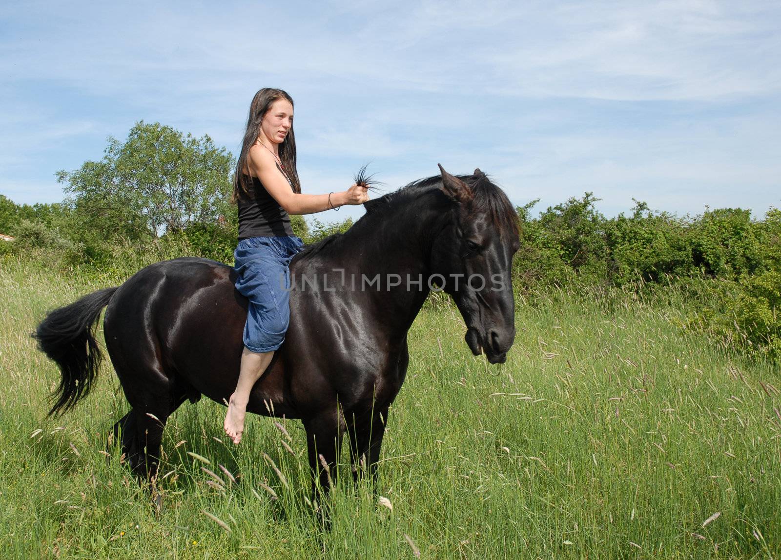 young woman and her black stallion in a field