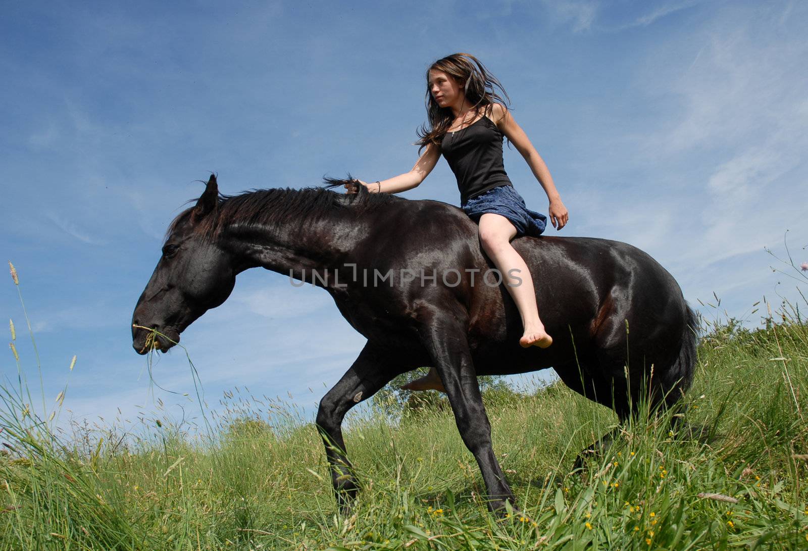 young woman and her black stallion in a field