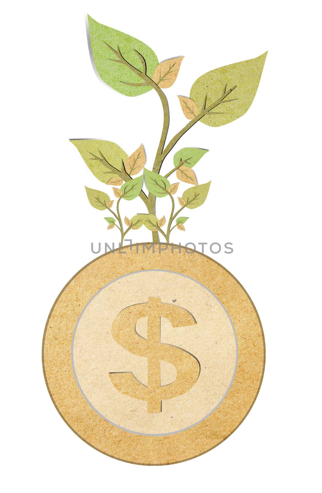 papercraft  Young plant and coins isolated over white by rufous