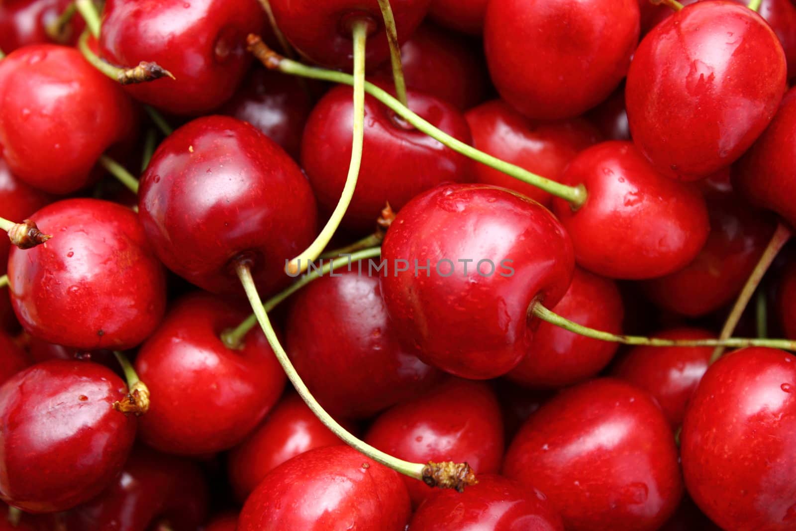 closeup of a bunch of cherry