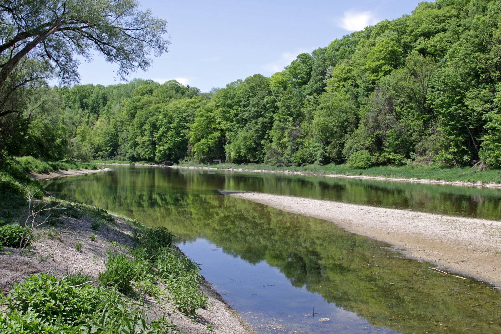 The reflection of the tree-line in the Grand River, in Kitchener, Ontario, Canada.
