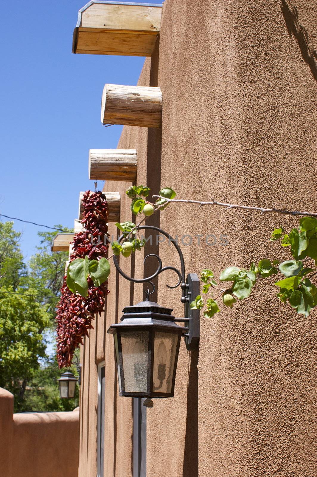 New Mexico adobe building featuring chili ristras, a lamp and foliage, against a blue sky, with copy space.