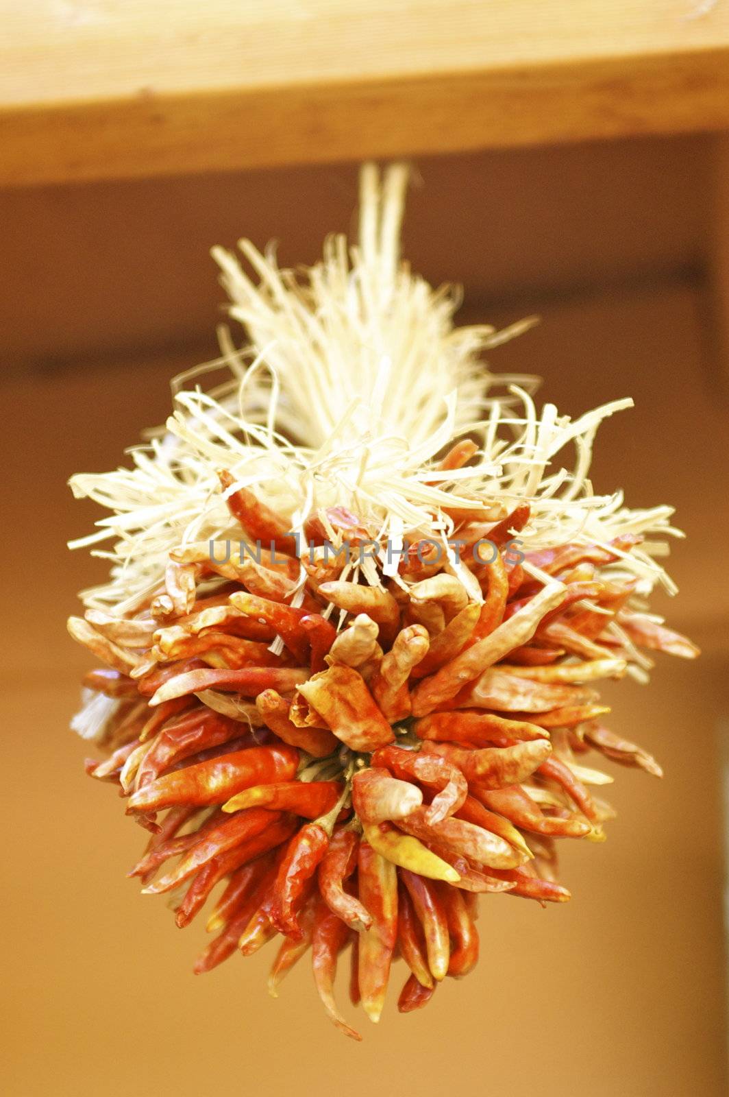 Suspended red chili ristras, with copy space.