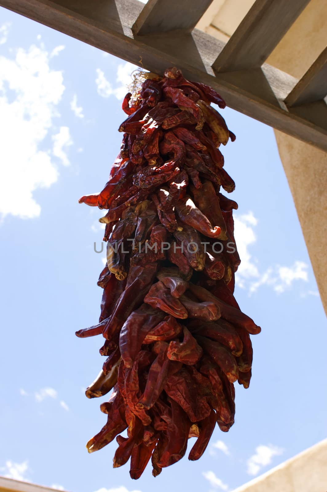 Red chili ristras against blue sky by PrincessToula