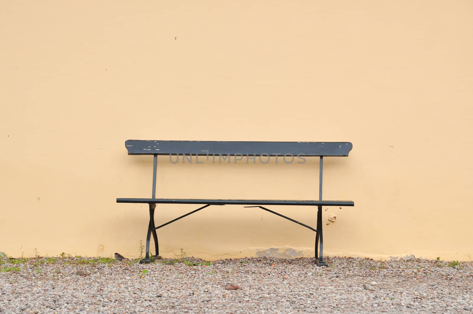 Empty bench with bird.