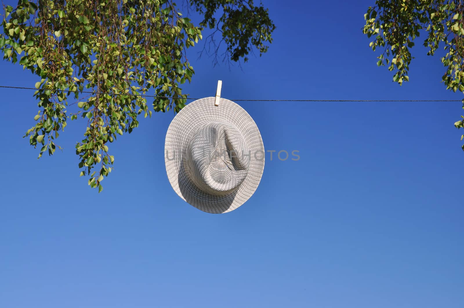 Summer hat on washline against blue sky and birch tree.