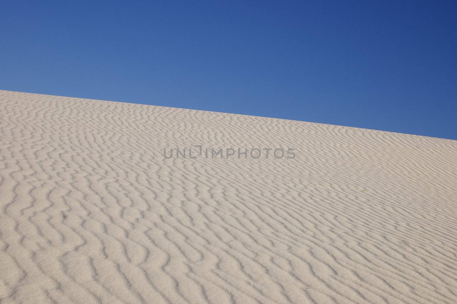 White Sands National Monument at sunset, featuring close up/ macro of diagonal rippled dune against a deep blue sky, New Mexico