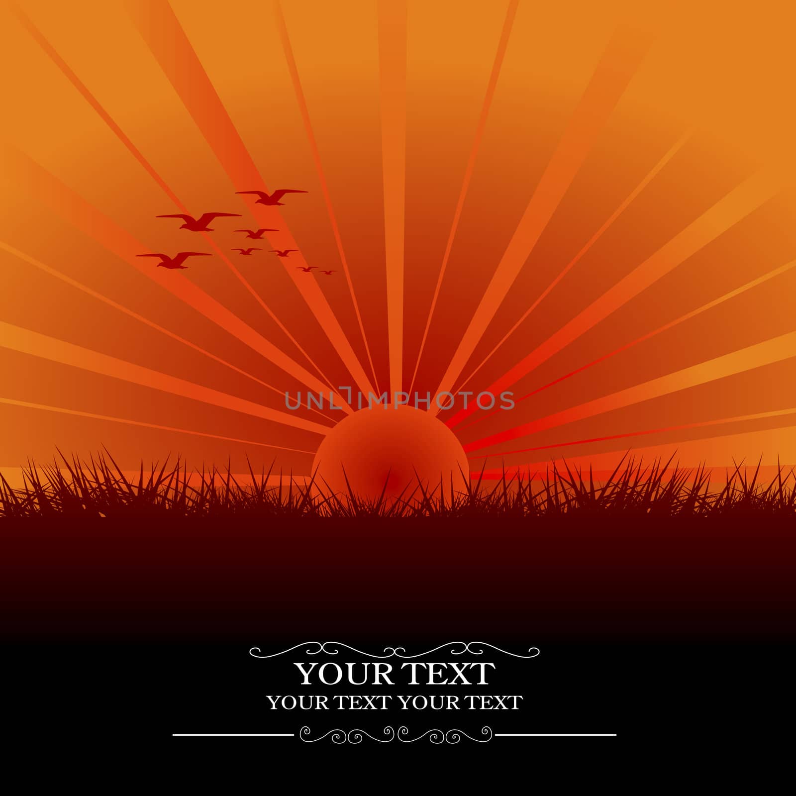 Card with sunset and birds