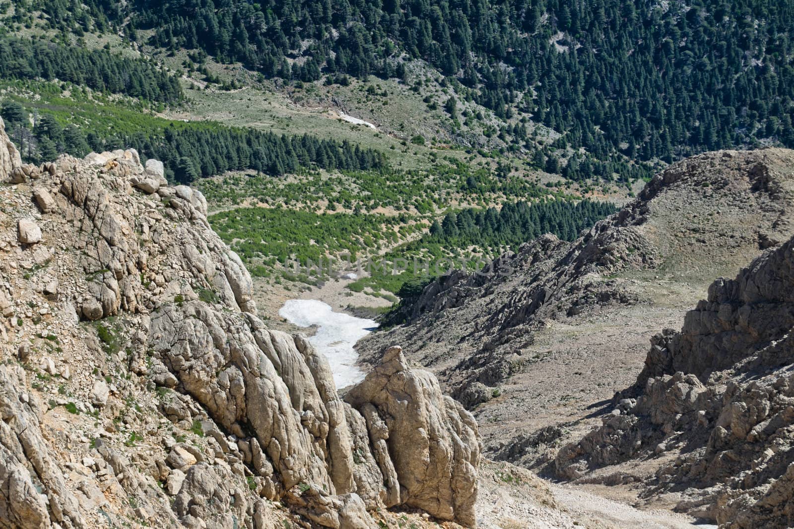 Part of plateau with cliff, snow, rocks and forest