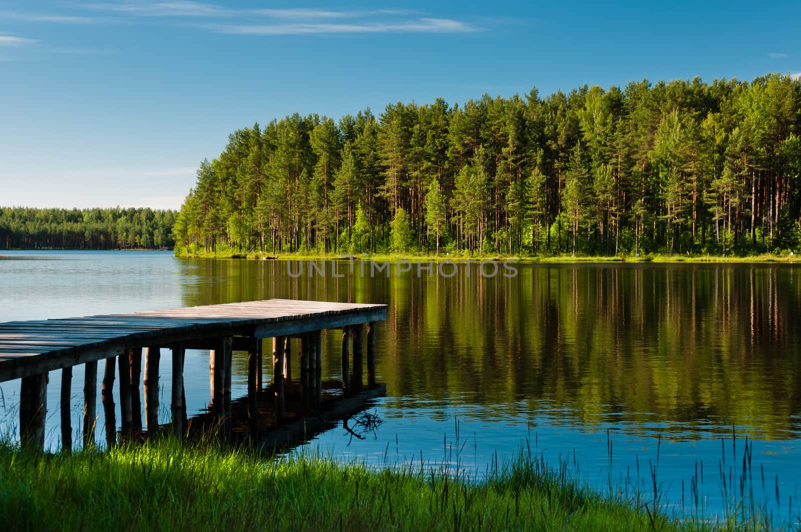 Wooden pier and forest on lake by dmitryelagin