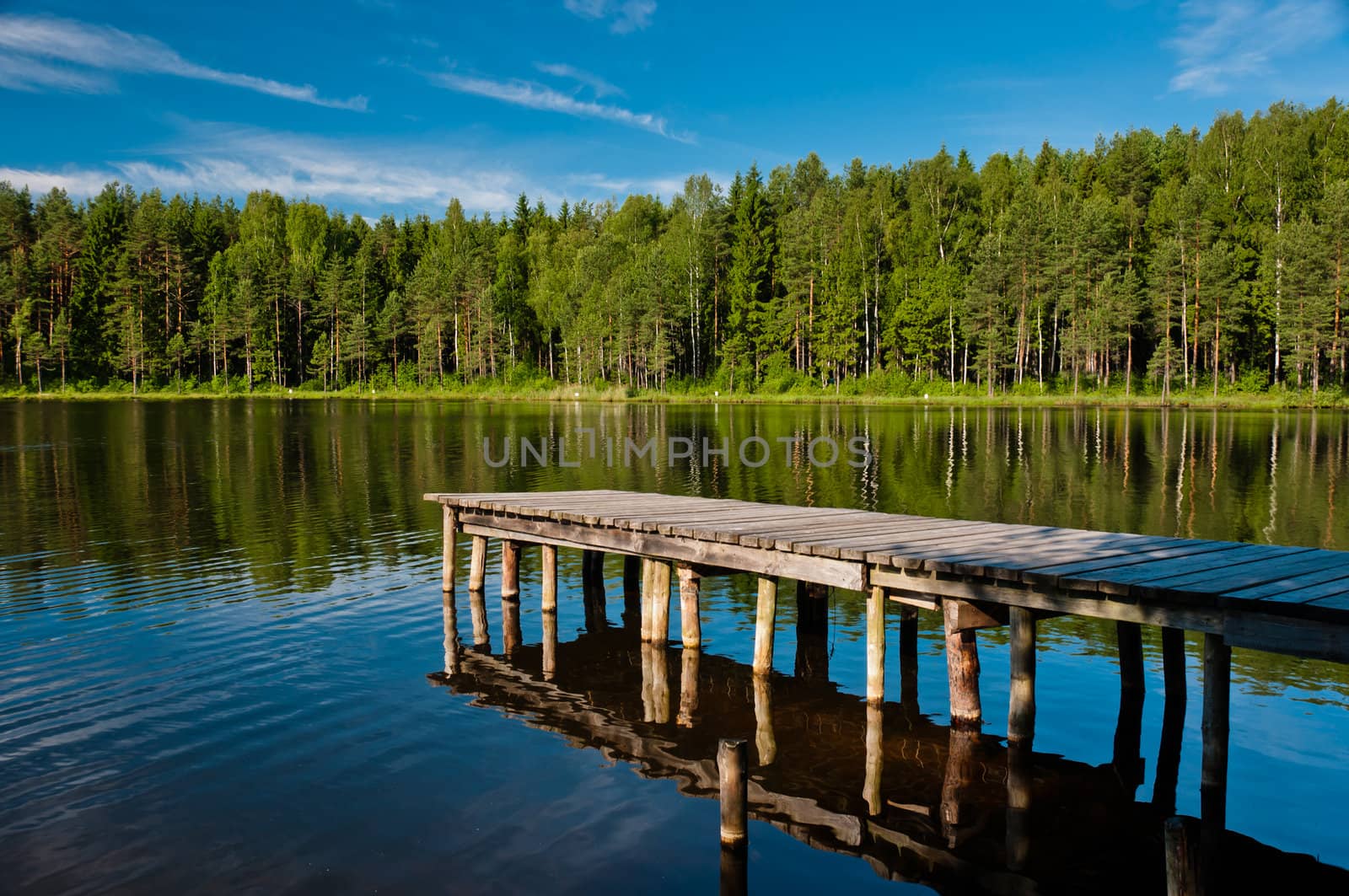 Wooden and old pier with forest scene, horizontal view