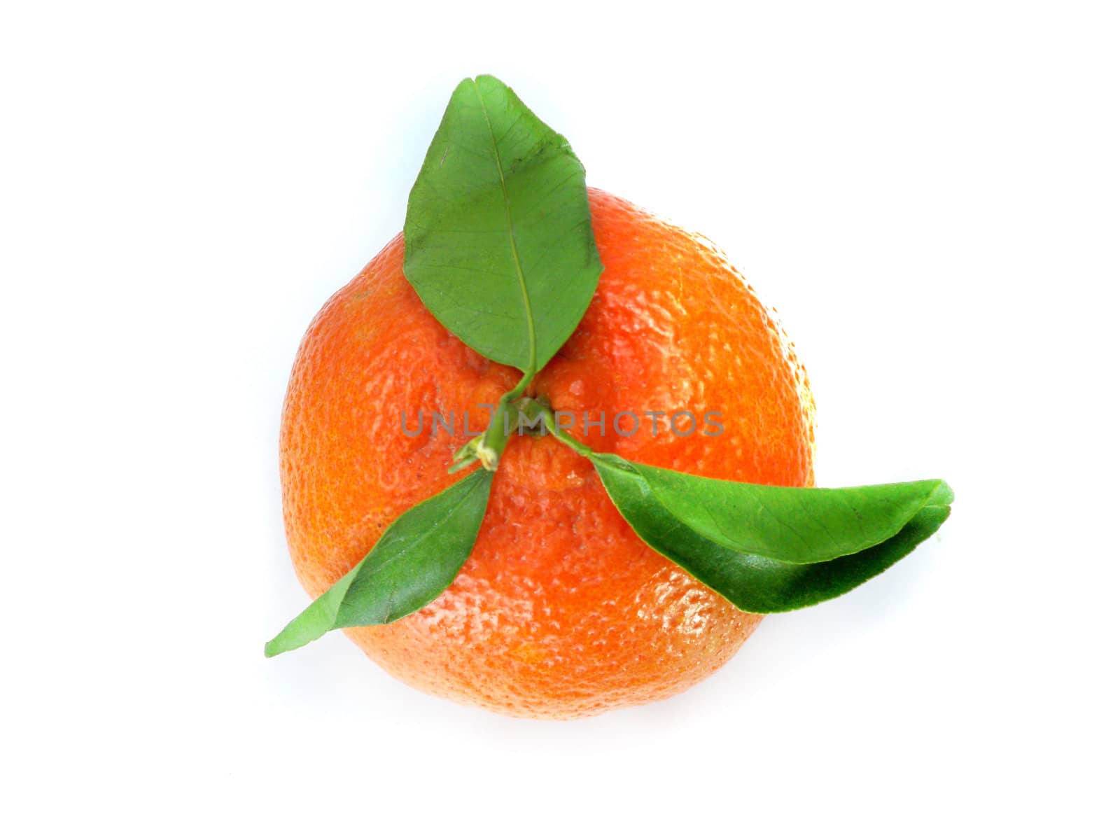 Fresh tangerine with leaves isolated on a white background