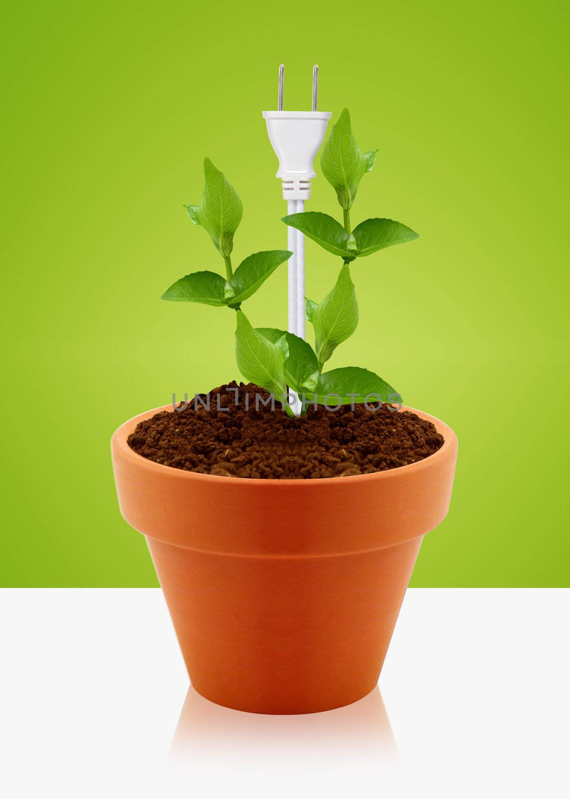 modern energy-saving concept, bright bulb in garden pot with small plant.