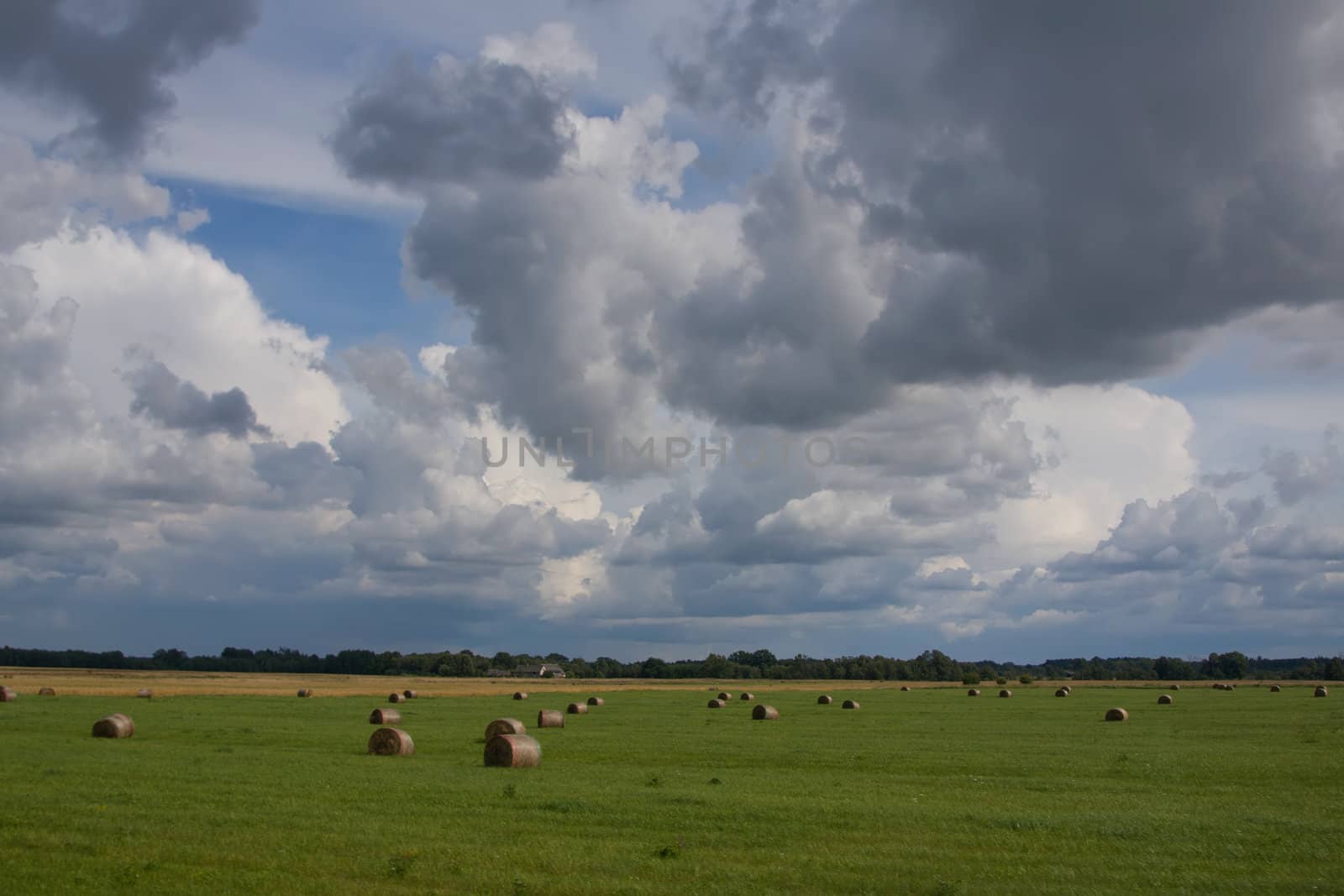 Lithuania summer land sky horizon