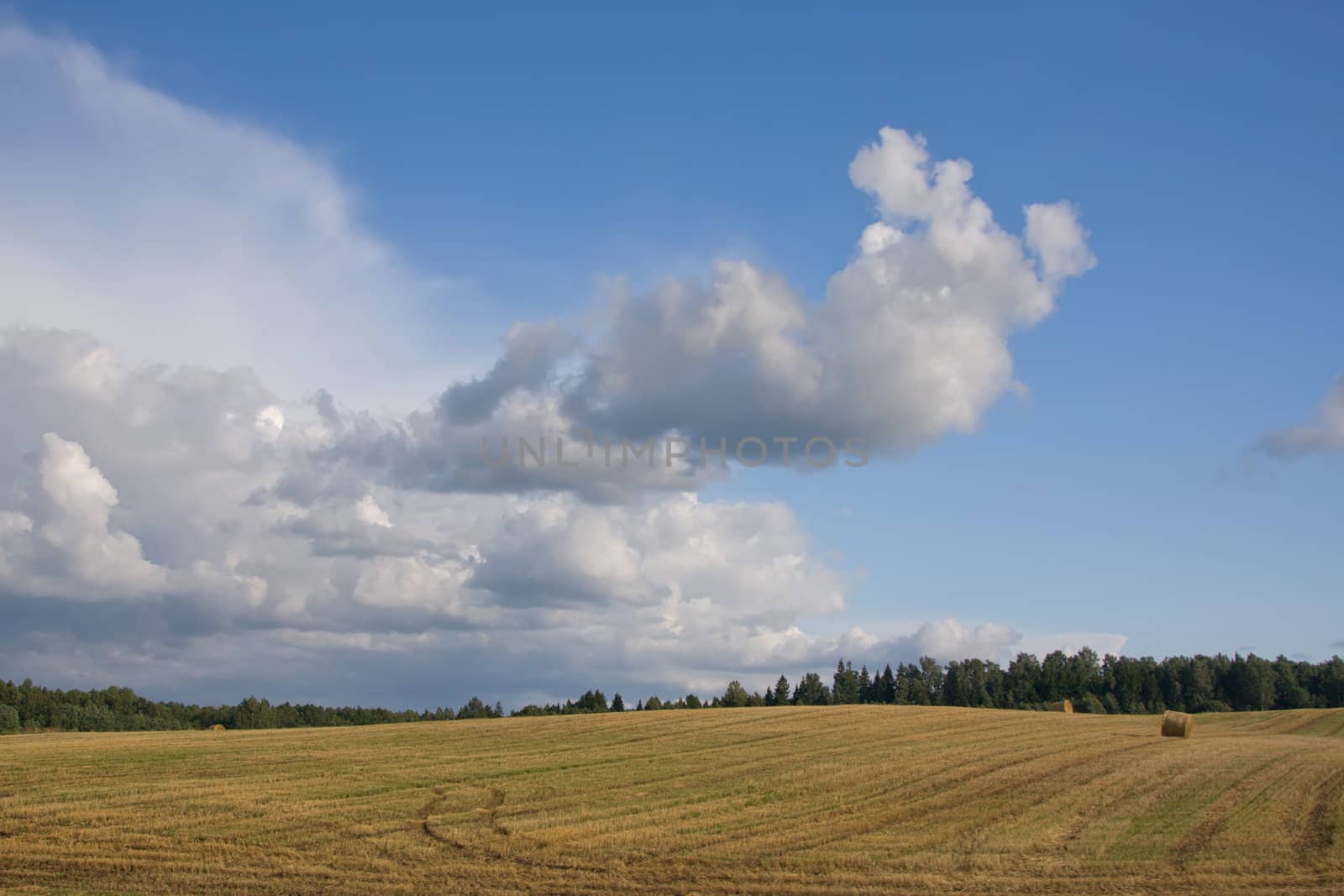 Lithuania summer land sky horizon