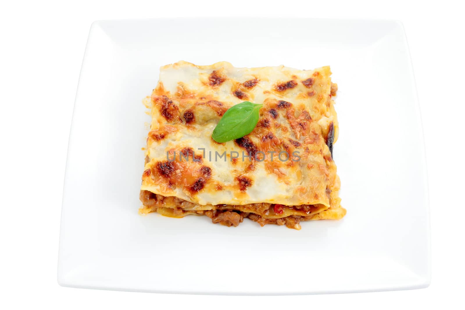 plate portion of lasagna with meat with basil leaf trimmed and isolated
