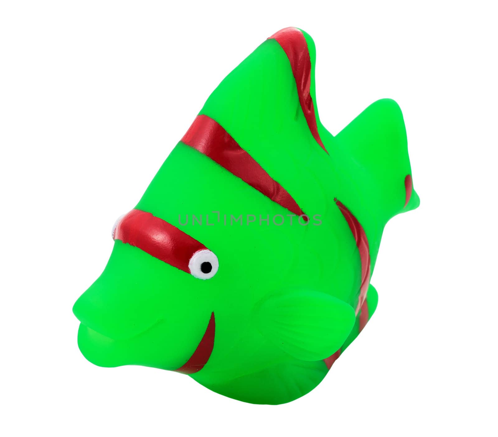 a fish of green rubber toy for the bathroom and isolated trimmed