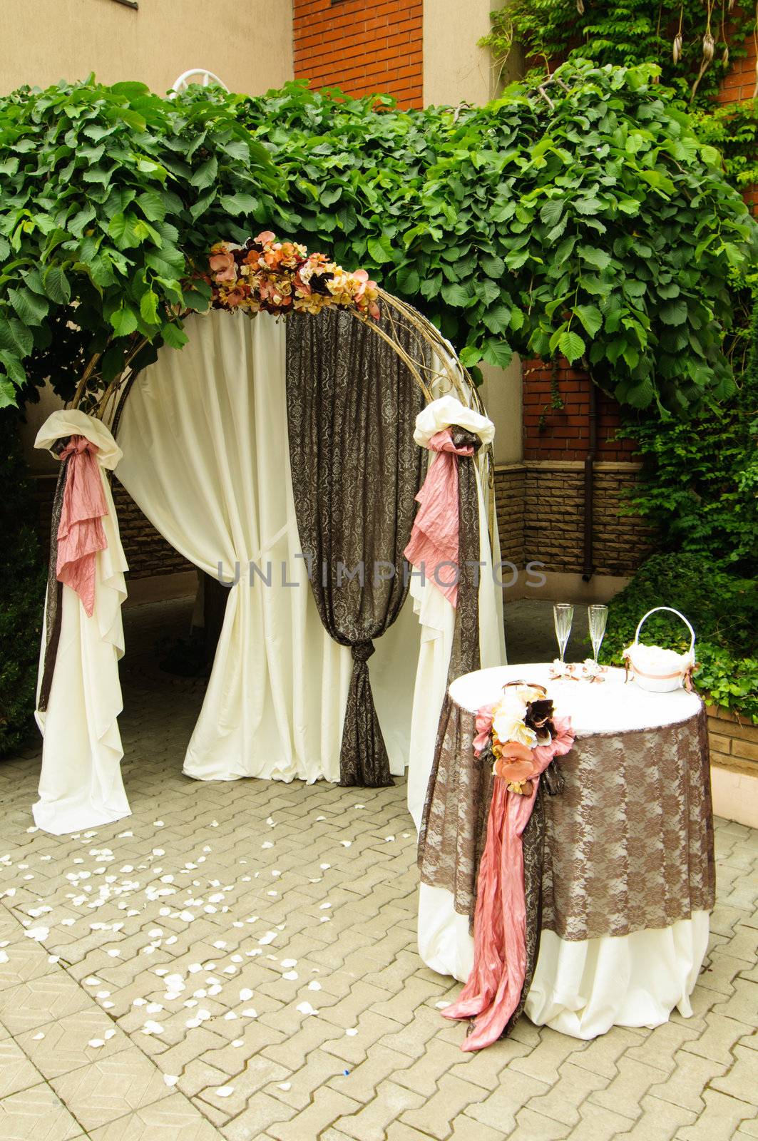 Outdoor wedding arch with table under grapevine