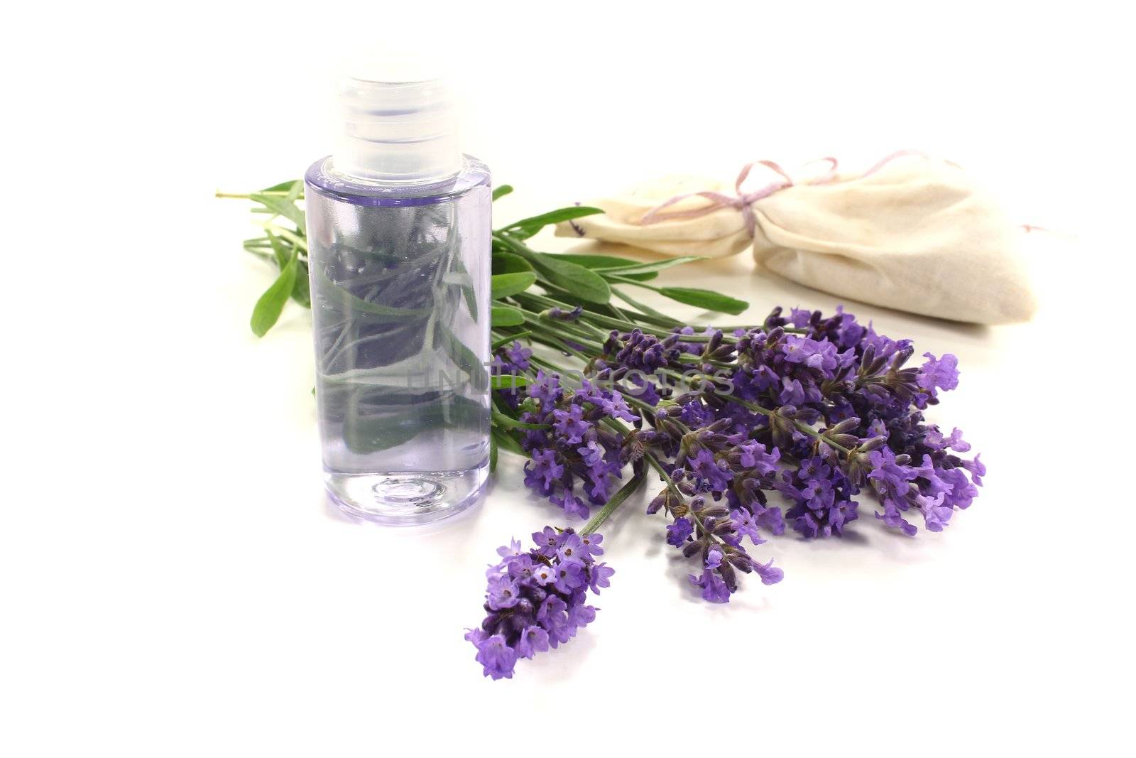 Lavender oil with Lavender bag and fresh flowers on a light background