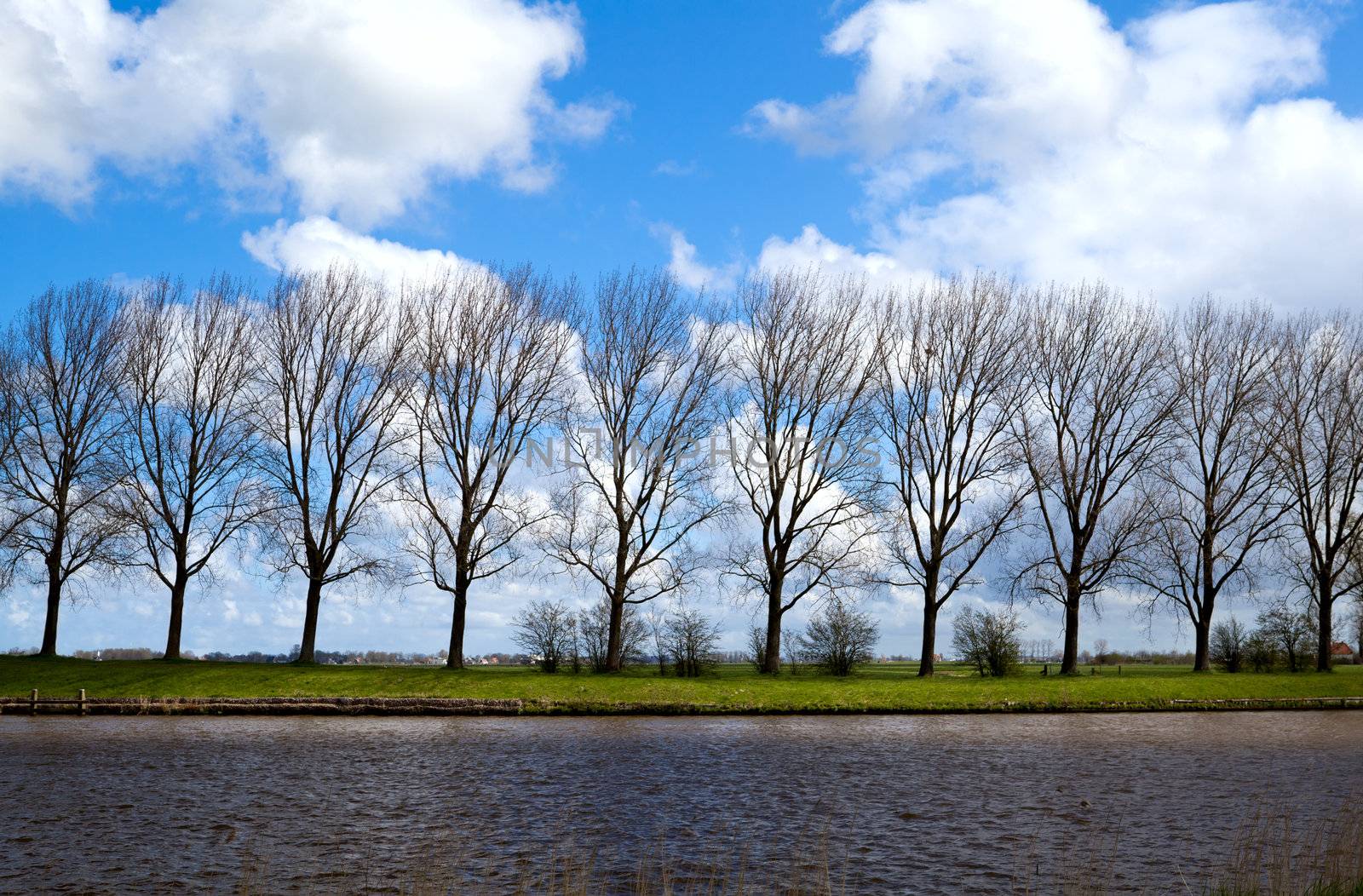 riverbank with trees on the horizon over blue sky
