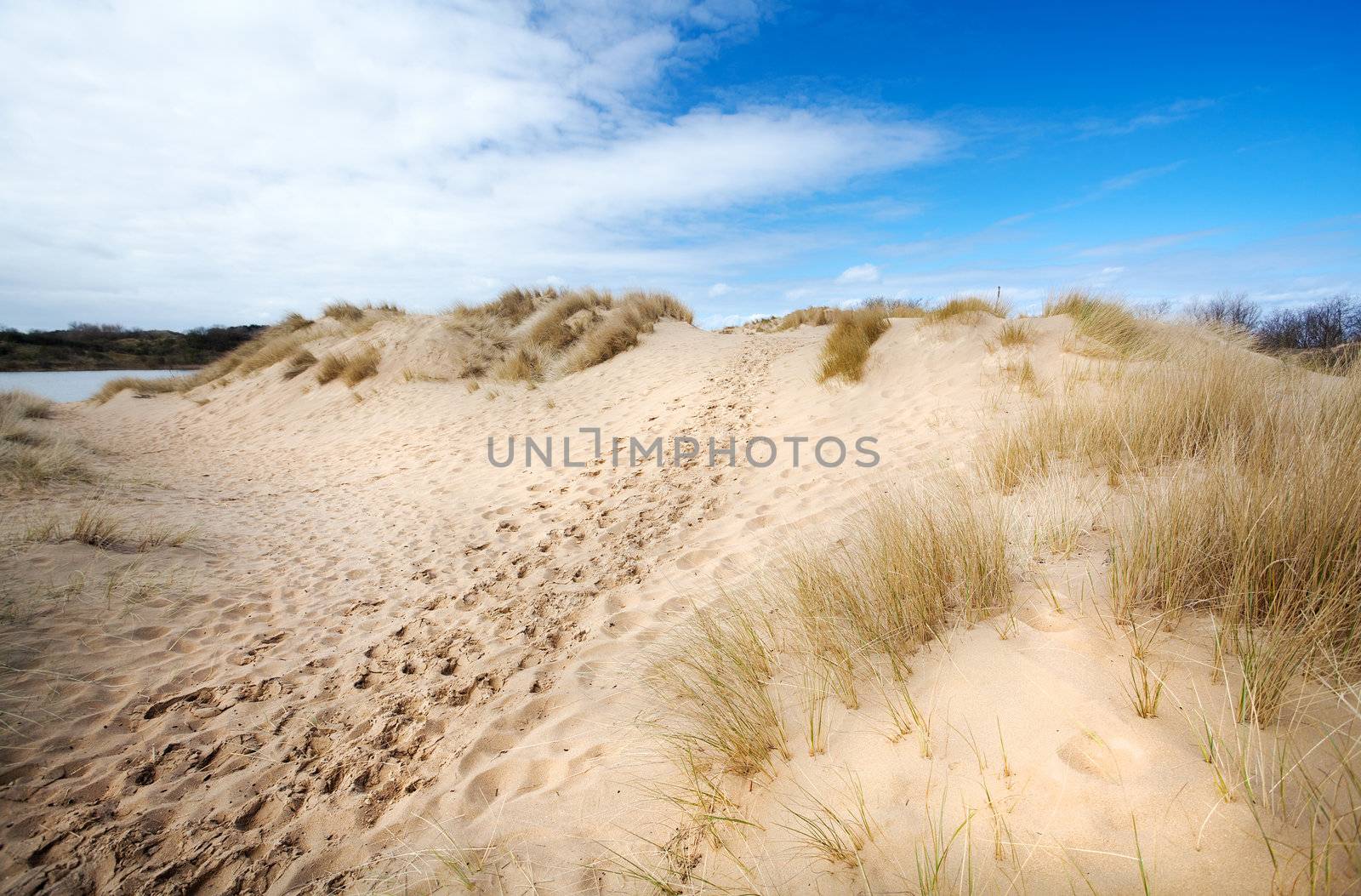 path between sand dunes in Netherlands