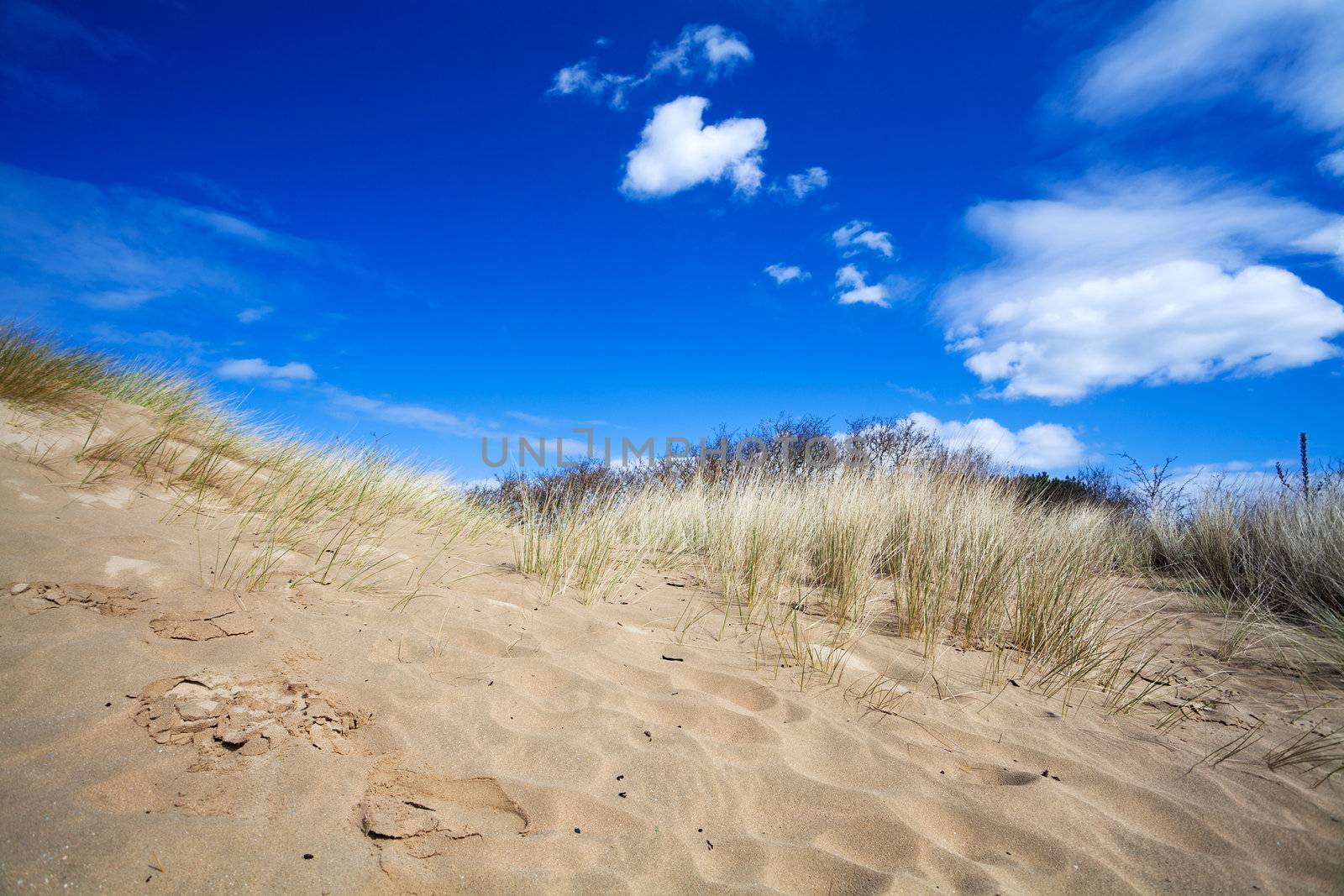 blue sky over sand dunes in Netherlands