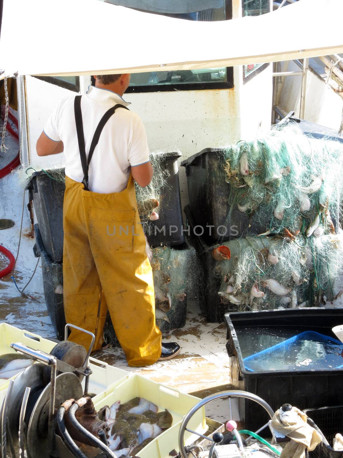 Fishing in the Cattolica