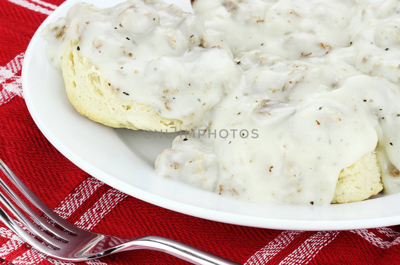 Biscuits and Gravy  by StephanieFrey